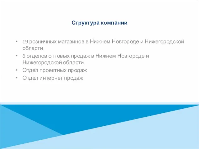 Структура компании 19 розничных магазинов в Нижнем Новгороде и Нижегородской области 6
