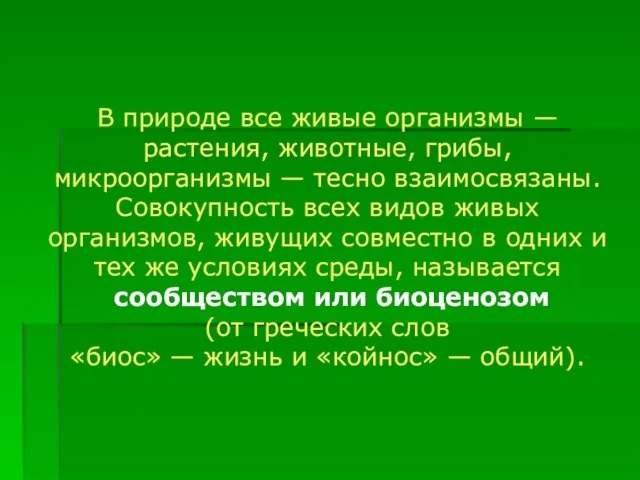 В природе все живые организмы — растения, животные, грибы, микроорганизмы — тесно