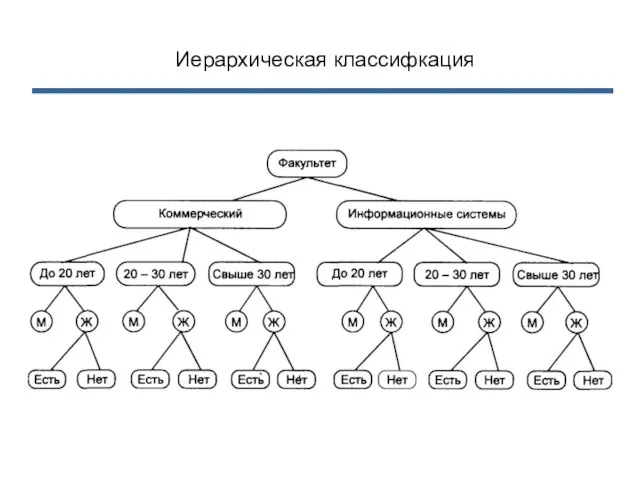 Иерархическая классифкация