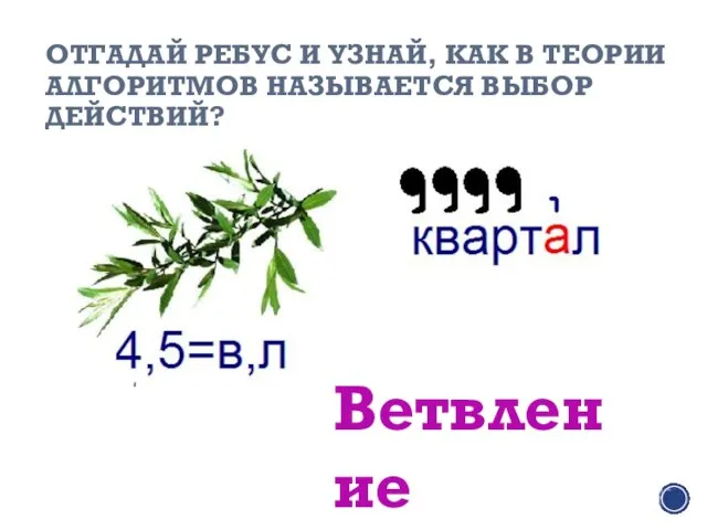 ОТГАДАЙ РЕБУС И УЗНАЙ, КАК В ТЕОРИИ АЛГОРИТМОВ НАЗЫВАЕТСЯ ВЫБОР ДЕЙСТВИЙ? Ветвление