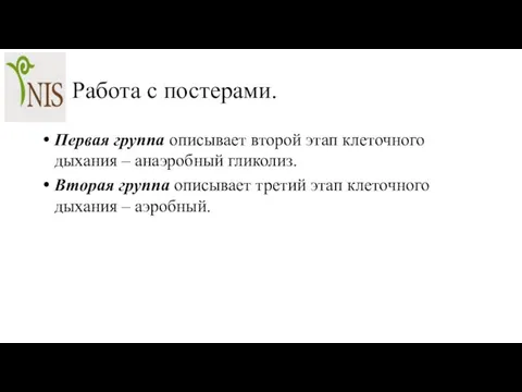 Работа с постерами. Первая группа описывает второй этап клеточного дыхания – анаэробный