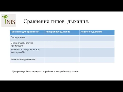 Сравнение типов дыхания. Дескриптор: Знать процессы аэробного и анаэробного дыхания