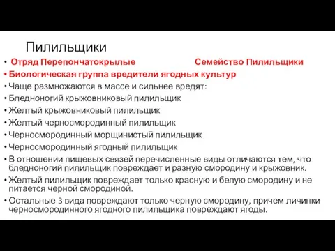 Пилильщики Отряд Перепончатокрылые Семейство Пилильщики Биологическая группа вредители ягодных культур Чаще размножаются