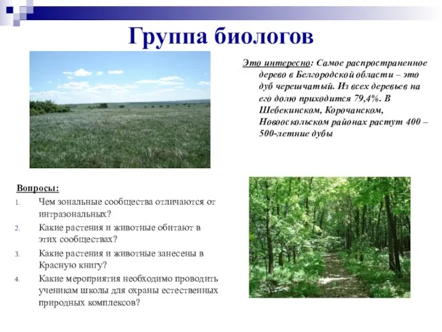 Группа биологов Это интересно: Самое распространенное дерево в Белгородской области – это