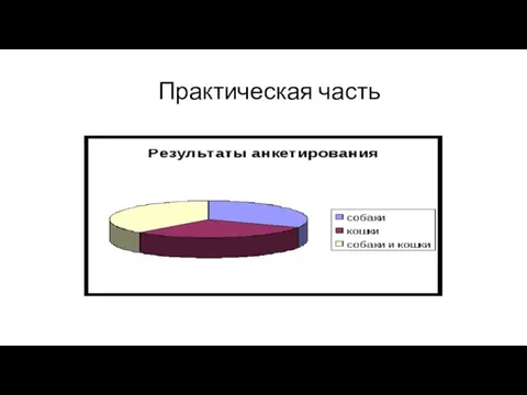 Практическая часть