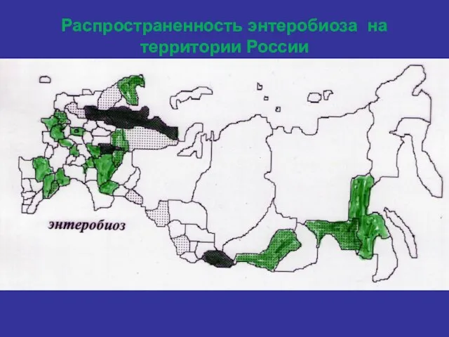 Распространенность энтеробиоза на территории России