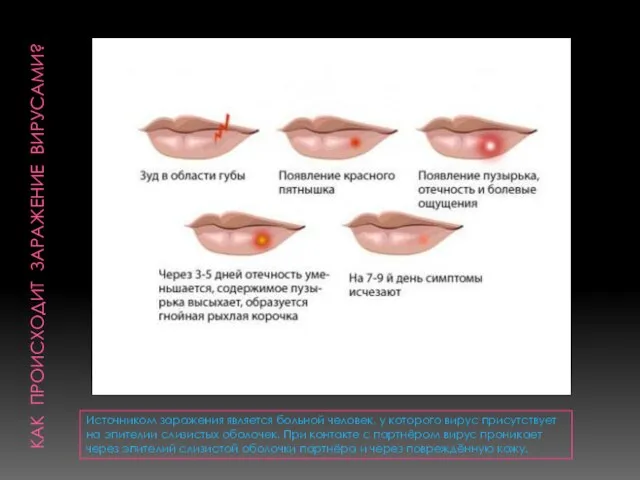 КАК ПРОИСХОДИТ ЗАРАЖЕНИЕ ВИРУСАМИ? Источником заражения является больной человек, у которого вирус