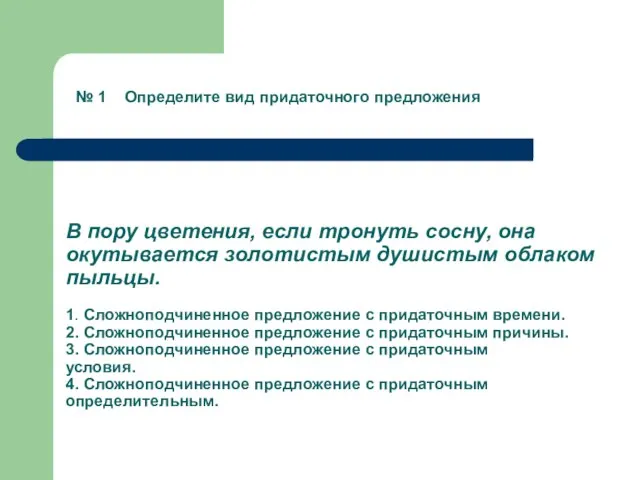 В пору цветения, если тронуть сосну, она окутывается золотистым душистым облаком пыльцы.