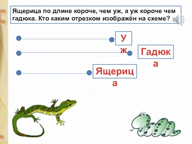 Ящерица по длине короче, чем уж, а уж короче чем гадюка. Кто