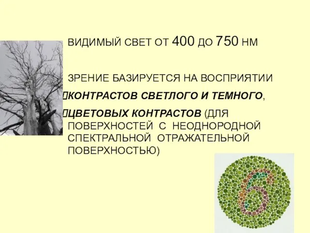 ВИДИМЫЙ СВЕТ ОТ 400 ДО 750 НМ ЗРЕНИЕ БАЗИРУЕТСЯ НА ВОСПРИЯТИИ КОНТРАСТОВ