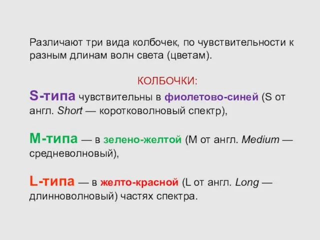 Различают три вида колбочек, по чувствительности к разным длинам волн света (цветам).