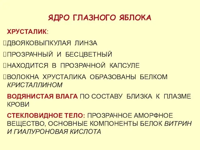 ЯДРО ГЛАЗНОГО ЯБЛОКА ХРУСТАЛИК: ДВОЯКОВЫПКУЛАЯ ЛИНЗА ПРОЗРАЧНЫЙ И БЕСЦВЕТНЫЙ НАХОДИТСЯ В ПРОЗРАЧНОЙ