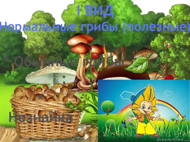 I ВИД Нормальные грибы (полезные) * Обычные грибы ; * Незнайка