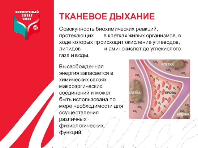 Совокупность биохимических реакций, протекающих в клетках живых организмов, в ходе которых происходит