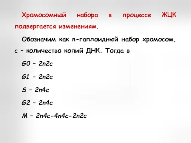 Хромосомный набора в процессе ЖЦК подвергается изменениям. Обозначим как n-гаплоидный набор хромосом,