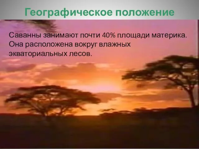 Географическое положение Саванны занимают почти 40% площади материка. Она расположена вокруг влажных экваториальных лесов.