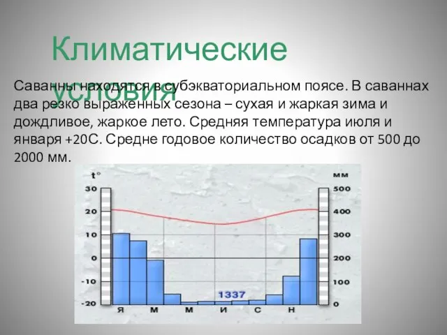 Климатические условия Саванны находятся в субэкваториальном поясе. В саваннах два резко выраженных