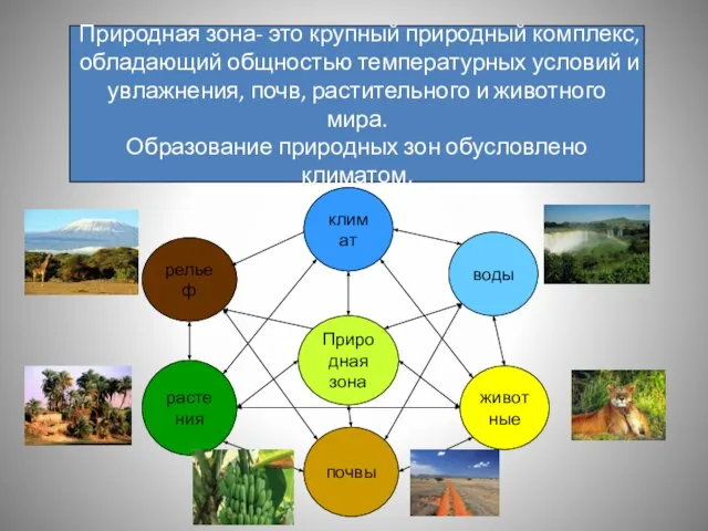 Природная зона- это крупный природный комплекс, обладающий общностью температурных условий и увлажнения,