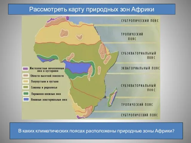 Рассмотреть карту природных зон Африки В каких климатических поясах расположены природные зоны Африки?
