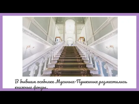 В бывшем особняке Мусиных-Пушкиных разместились книжные фонды.