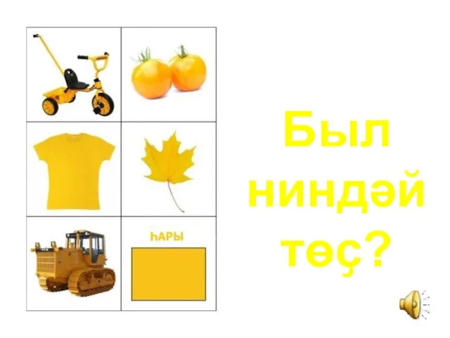 Был ниндәй төҫ?