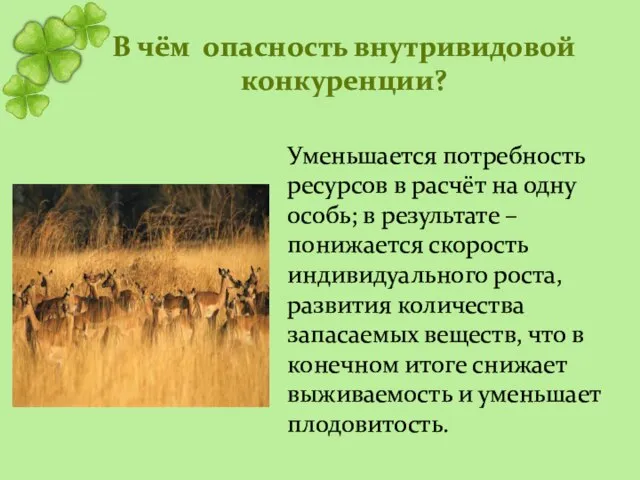 Уменьшается потребность ресурсов в расчёт на одну особь; в результате – понижается