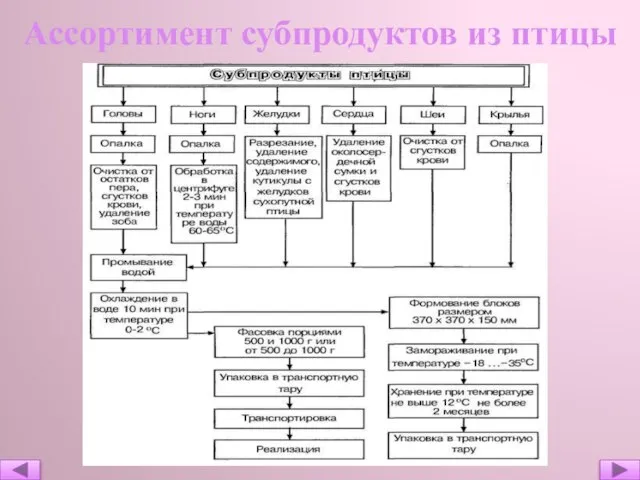 Ассортимент субпродуктов из птицы