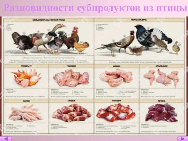 Разновидности субпродуктов из птицы