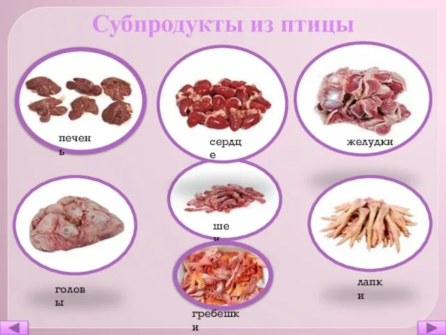 печень желудки головы шеи лапки сердце гребешки Субпродукты из птицы