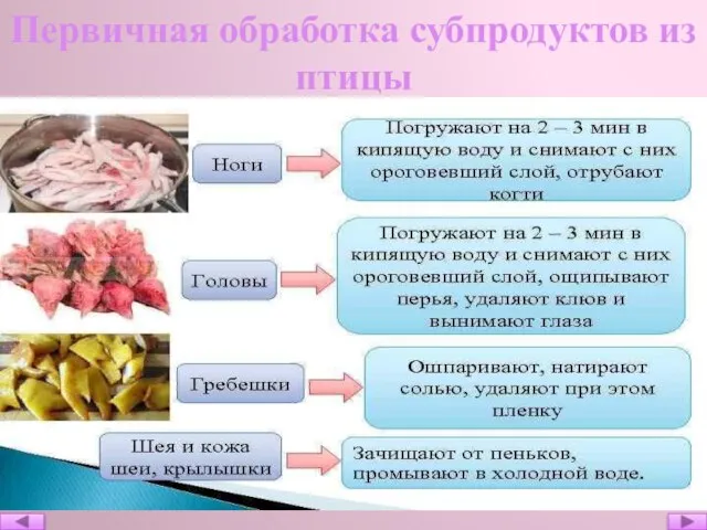 Первичная обработка субпродуктов из птицы