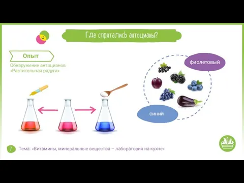 фиолетовый синий Тема: «Витамины, минеральные вещества – лаборатория на кухне»