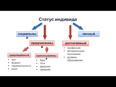 Статус индивида социальный личный предписанный достигаемый прирождённый приписываемый пол возраст национальность раса