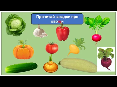 Прочитай загадки про овощи