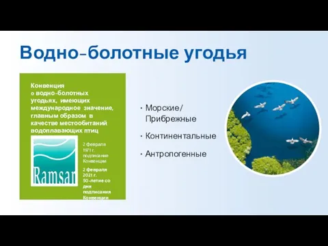 Водно-болотные угодья Морские/ Прибрежные Континентальные Антропогенные Конвенция o водно-болотных угодьях, имеющих международное