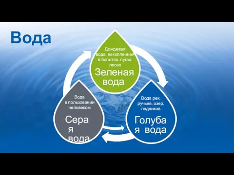 Вода Дождевая вода, накопленная в болотах, лугах, лесах Зеленая вода Вода в