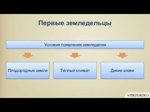 Плодородные земли Тёплый климат Условия появления земледелия Дикие злаки Первые земледельцы