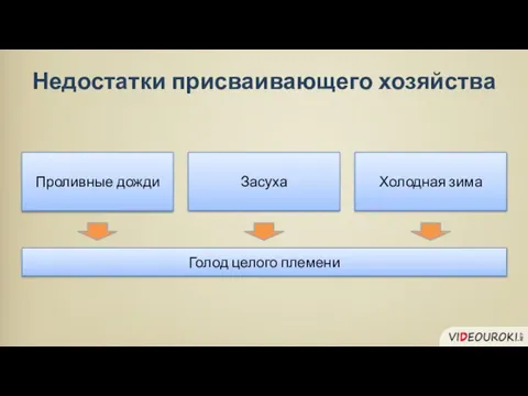 Проливные дожди Засуха Голод целого племени Холодная зима Недостатки присваивающего хозяйства