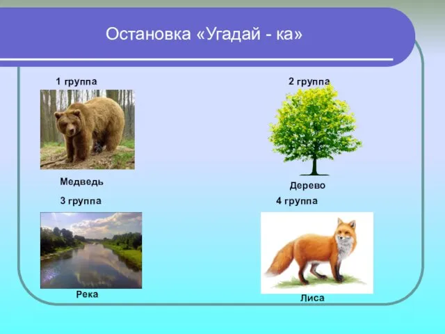 Остановка «Угадай - ка» 1 группа 2 группа Медведь 3 группа 4 группа Дерево Река Лиса