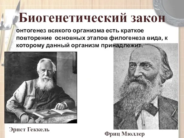 Биогенетический закон Эрнст Геккель Фриц Мюллер онтогенез всякого организма есть краткое повторение