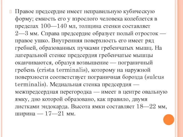 Правое предсердие имеет неправильную кубическую форму; емкость его у взрослого человека колеблется