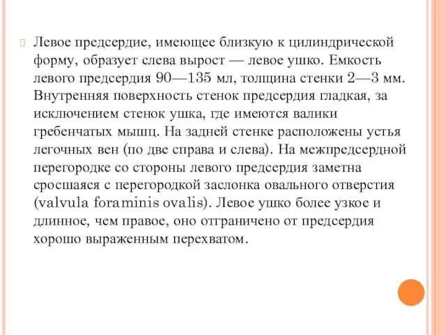 Левое предсердие, имеющее близкую к цилиндрической форму, образует слева вырост — левое