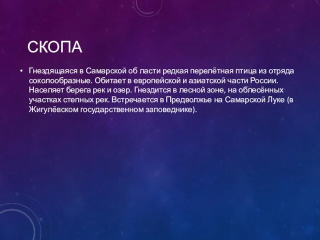 СКОПА Гнездящаяся в Самарской об ласти редкая перелётная птица из отряда соколообразные.