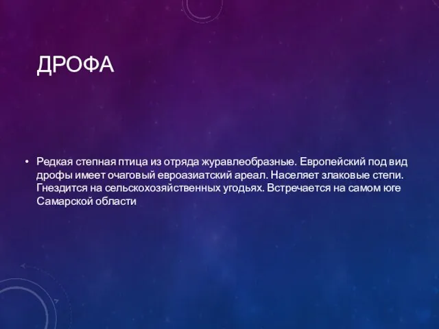 ДРОФА Редкая степная птица из отряда журавлеобразные. Европейский под вид дрофы имеет