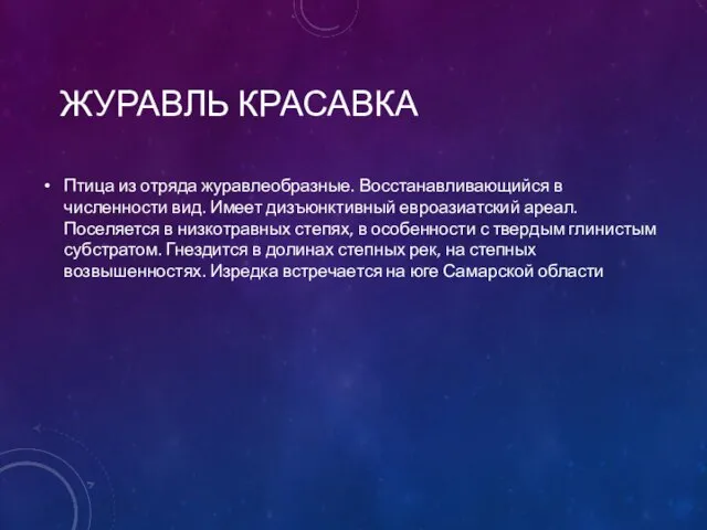 ЖУРАВЛЬ КРАСАВКА Птица из отряда журавлеобразные. Восстанавливающийся в численности вид. Имеет дизъюнктивный