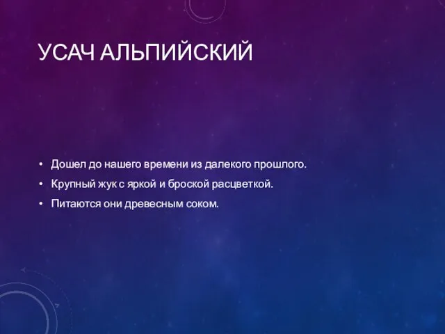 УСАЧ АЛЬПИЙСКИЙ Дошел до нашего времени из далекого прошлого. Крупный жук с