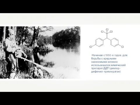 Начиная с 1950-х годов, для борьбы с вредными насекомыми активно использовался химический препарат ДДТ (дихлор-дифенил-трихлорэтан).