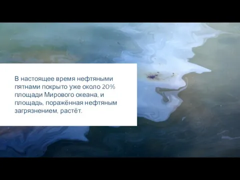 В настоящее время нефтяными пятнами покрыто уже около 20% площади Мирового океана,