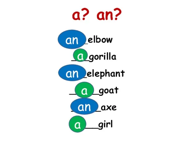 ___elbow ___gorilla ____elephant _____goat _____axe ____girl a? an? a an a a an an
