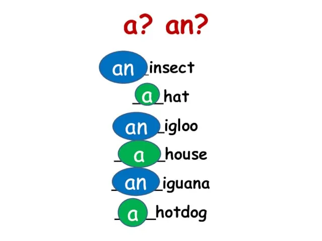 ___insect ___hat ____igloo _____house _____iguana ____hotdog a? an? a an a a an an
