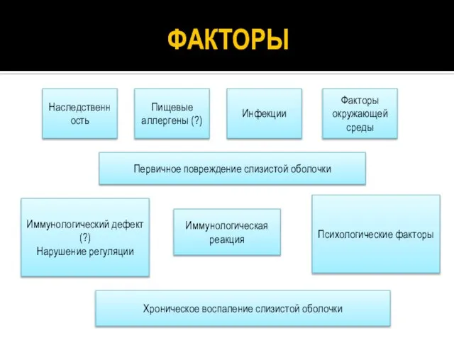 Наследственность Пищевые аллергены (?) Инфекции Факторы окружающей среды Первичное повреждение слизистой оболочки